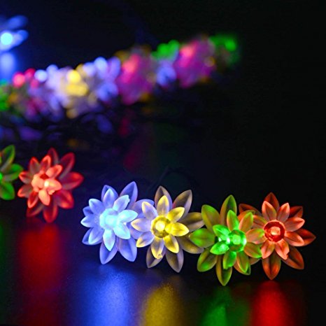Wish Dayz Christmas Thanksgiving Day 40 LED String Decoration Lights Lotus Flower Battery Operated Led (Multi Color)