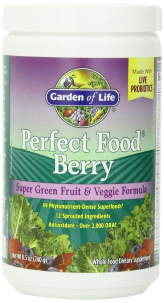 Garden of Life Perfect Food Berry, 240g Powder