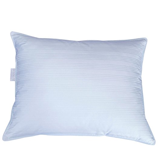 Extra Soft Down Pillow - Great for Stomach Sleepers (Queen - Duck Down)