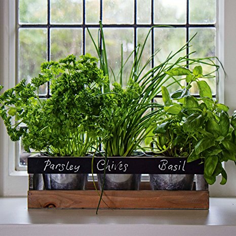 Indoor Herb Garden Kit - by Viridescent - Wooden Windowsill Planter Box for the Kitchen. Includes All You Need to Grow Your Own Herbs. Perfect XMAS Gift Idea. Buy 2 for FREE DELIVERY!