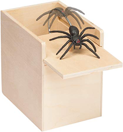 The Paragon Spider Surprise - Scare Box, Hilarious Practical Joke Money Box