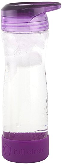 Full Circle Hydrate Mate 16-Ounce Glass Travel Water Bottle, Elderberry