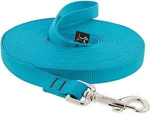 LupinePet Basics 3/4" Aqua 15-Foot Extra-Long Training Leash for Dogs