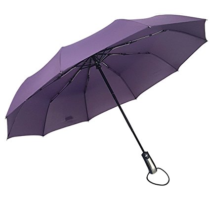 Compact Travel Umbrella Folding Windproof for Women Men Auto Open Close Umbrella Portable Strong (Purple)