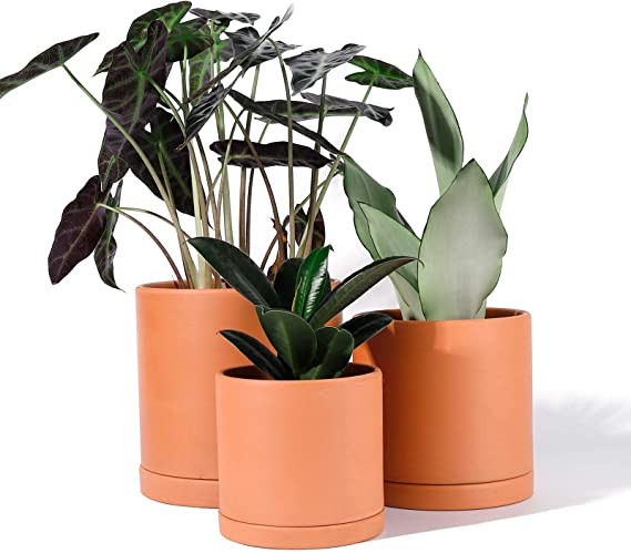 POTEY Terracotta Planter Pots with Drainage Hole and Saucer - 6 Inch & 5 Inch & 4 Inch Indoor Cylinder Round Plants Flower Containers Clay Pots Gardening Modern - Set of 3,Unglazed 222231