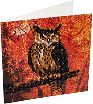 Crystal Art Autumn Owl Card Kit 18 x 18 cm, 18x18