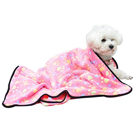 EXPAWLORER Pet Blanket for Small Cats & Dogs Thick