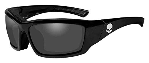 Harley-Davidson Men's Tat Skull Gasket Sunglasses, Gray Lens/Black Frame HATAT01