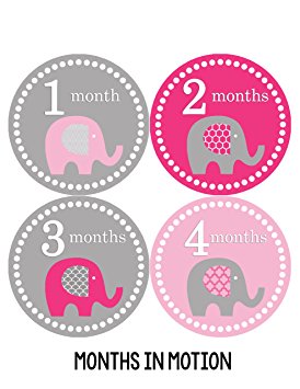 Months in Motion 246 Monthly Baby Stickers Baby Girl Elephants Months 1-12 Milestone Sticker in pink