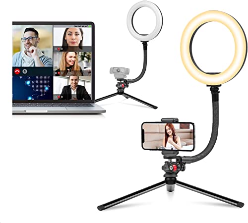 Video Conference Lighting for Laptop Computer, 8" Desktop Ring Light Webcam Lighting Stand with 1/4" Thread for Photo,Makeup,Live Stream, Zoom Meeting, Video Call, Webcam Chat, Camera Lighting,Phone