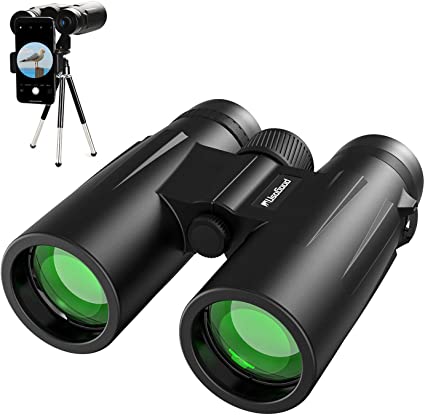 Binoculars Compact Powerful Binoculars for Adults Kids for Outdoors Sports Traveling Sightseeing Bird Watching Folding Lightweight Binoculars (Black, 30)