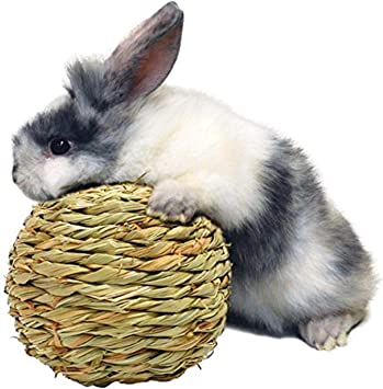 Peter's Woven Grass Play Ball for Rabbits