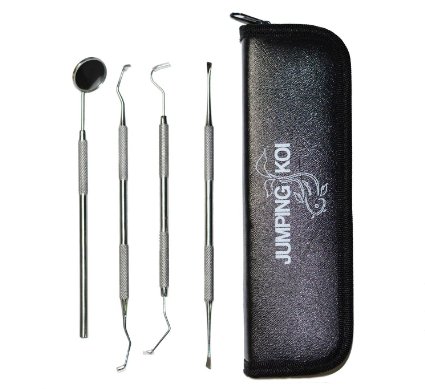Professional Dental Hygiene Kit  Grade-A Stainless Steel Dental Pick Tartar Plaque Tooth Scraper Mouth mirror and Sickle Scaler  Ideal For Personal Use and Pet Friendly for Deep Oral Teeth Cleaning