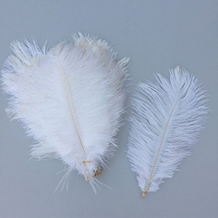 Shekyeon White 10-12inch 25-30cm Ostrich Feather Home Decoration DIY Craft Pack of 10