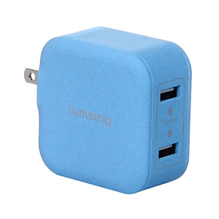 Lumsing Dual USB wall charger compact travel charging hub with Foldable Power Adapter for iPhone iPad Samsung Galaxy Smartphones Tablets