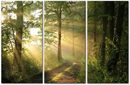 My Easy Art- Tree Wall Art Decor Sunshine Through Forest and Road Canvas Pictures Artwork 3 Panel Nuture Landscape Painting Prints for Home Living Dining Room Kitchen