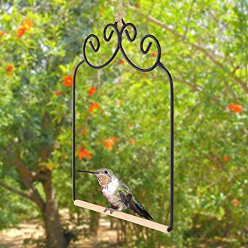 Home-X Hummingbird Swing. Metal Frame Hummingbird Swing with Wooden Dowel