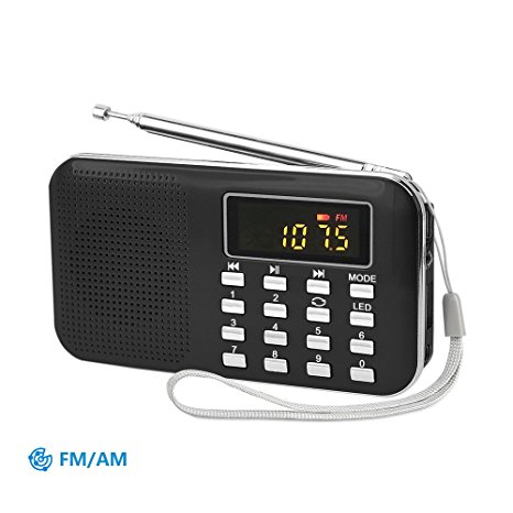 PRUNUS Mini Portable Ultrathin AM / FM MP3 Radio with Emergency flashlight function. Rechargeable and Replaceable battery. Long antenna. Stores stations automatically. Supports the following: Flash drive / Micro SD card / TF card (8GB, 16GB, 32GB, 64GB) to allow the user to play stored MP3 files (Black)