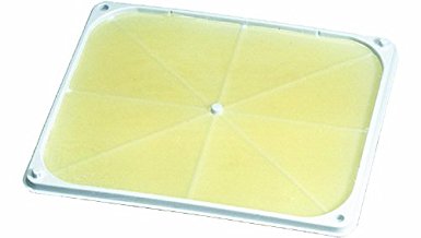 JT Eaton 100 Stick-Em Elephant Size Rat/Mouse Peanut Butter Scented Double Glue Trap Tray, 12-1/4" Length x 10-1/2" Width x 3/4" Height, Extra Large, White (Case of 12)