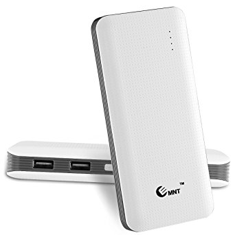 EMNT External Battery Charger 15600mAh Power Bank Portable Charger with SmartCharging and Quick Charge Technology for Cell Phone, iPhone, iPad, Samsung, MP3, and Most USB Devices(Grey)