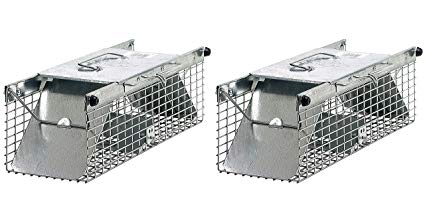 Havahart 1025 Small 2-Door Live Animal Trap – Ideal for catching Squirrels, Chipmunks, Rats, Weasels (Pack of 2)