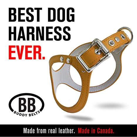 ORIGINAL DURABLE Buddy Belt Classic LEATHER Dog Harness