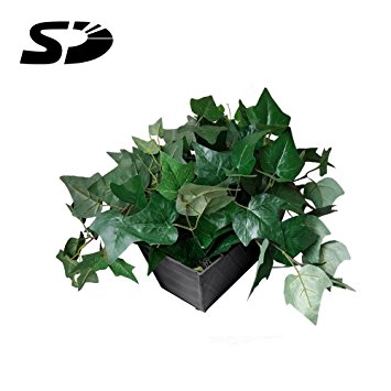 All-in-One SD Card Self Recording Covert Spy Camera (Camera Hidden in Fake Plant)