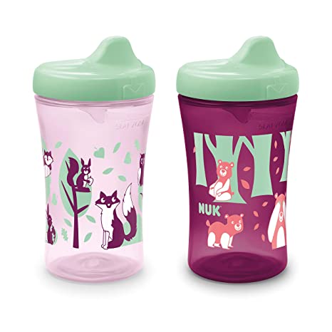 NUK Hide 'n Seek Hard Spout Sippy Cup, 10 oz, 2 Pack, 9  Months