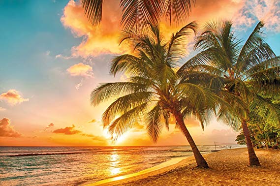 Photographic Wallpaper Barbados for mural decoration, sunset Caribbean Beach Sea Palm Beach summer Island Sunset Dream Holiday I paperhanging Wallpaper poster wall decor by GREAT ART (210 x 140 cm / 82.7 x 55 Inch)