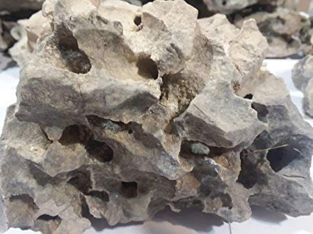 Texas Holey Rock Honeycomb Limestone All Natural High Grade Unbleached 2.29 lb 15 lbs