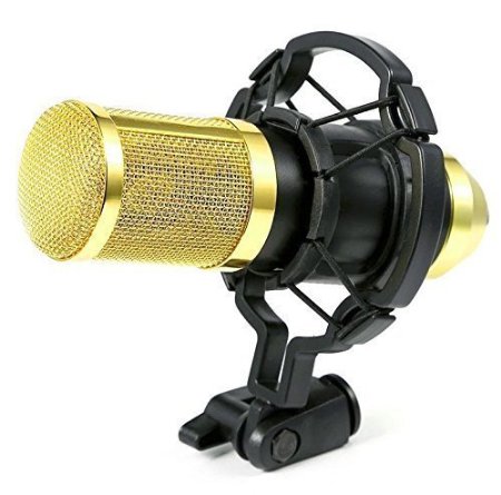 Ohuhu Audio Microphone - Studio Recording Condenser Pro Microphone with Shock Mount Holder Clip