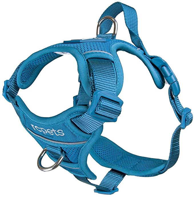 RC Pet Products Momentum Dog Harness, X-Large, Dark Teal