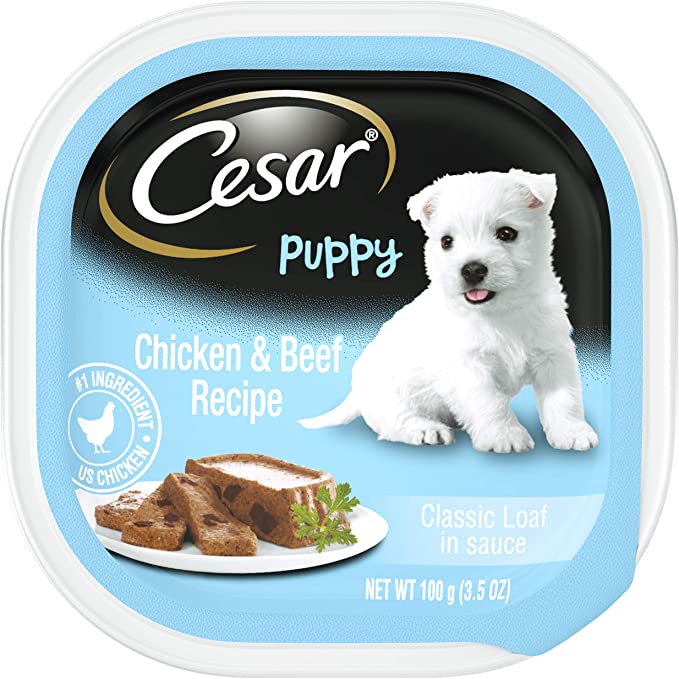 Cesar Canine Cuisine Puppy with Chicken and Beef Puppy Food Trays 3.5 Ounces (Pack of 24)