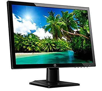 HP 20KD 19.5-inch LED Backlit Monitor (Black)