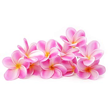 Winterworm Bunch of 10 PU Real Touch Lifelike Artificial Plumeria Frangipani Flower Bouquets Wedding Home Party Decoration (Light Purple White)