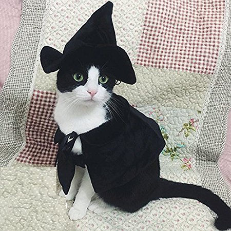 Cute Hooded Cloak Witch / Wizard Costume for Dogs & Cat Kitten, Cat Costume Pet Cosutmes