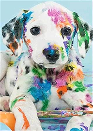 DIY Diamond Painting Kits, 5D Diamond Painting Kit by Numbers for Adult Kids 35x45cm Art Accessories with Full Drill for Home Wall Decor Painting Arts Craft - Dalmatian Dog