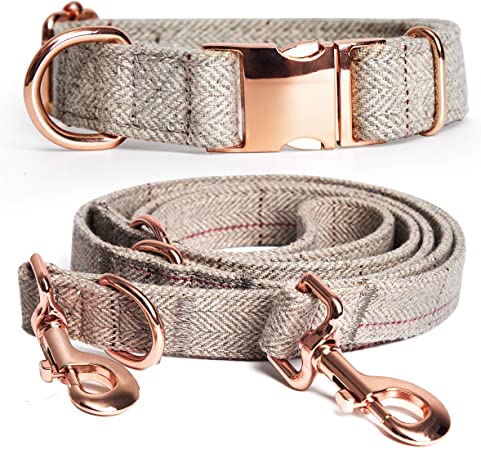 Barkless Heavy Duty Dog Collar and Leash Set, Multifunctional Stylish Design with Rose Gold Set, Comfortable and Hardwearing for Small Medium Large Dogs