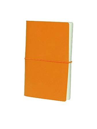 Paperthinks Tangelo Orange Memo Pocket Recycled Leather Notebook, 3.5 x 6-inches,PT92306