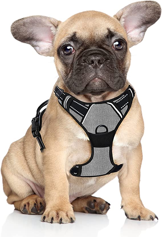 BARKBAY No Pull Dog Harness Large Step in Reflective Dog Harness with Front Clip and Easy Control Handle for Walking Training Running