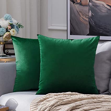 JUEYINGBAILI Throw Pillow Covers Velvet Decorative 2 Packs Ultra-Soft Dark Green Pillowcase 18 x 18 Inch for Couch,Chair,Sofa,Bedroom,Car,Square Solid Color