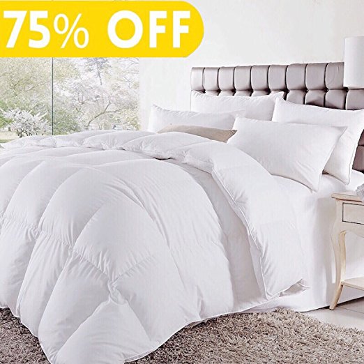 Soft Goose Down Alternative Comforter Luxury Hotel Collection Reversible Duvet Insert with Corner Tab,Warm Fluffy for All Season,White,Queen,88 by 88 Inches