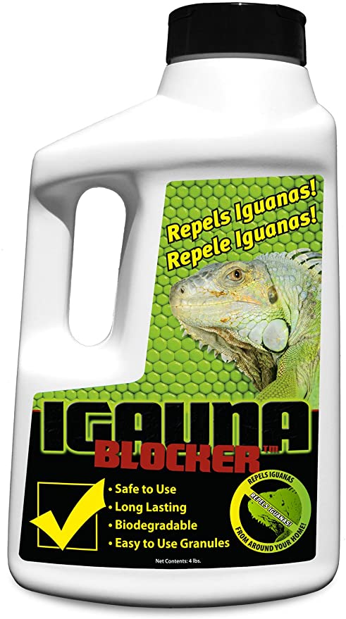 BuyBlocker All Natural Repellent, 4-Pound, Iguana Blocker