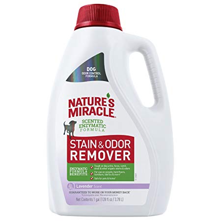 Nature's Miracle Lavender Stain and Odor Remover 32 oz