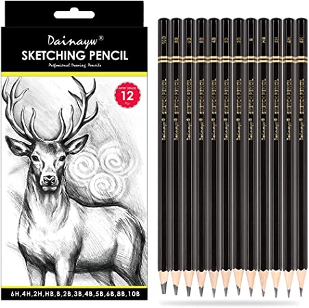 Dainayw Professional Drawing Sketching Pencil Set, 12 Pieces Art Pencils 10B, 8B, 6B, 5B, 4B, 3B, 2B, B, HB, 2H, 4H, 6H Graphite Shading Pencils for Beginners & Pro Artists