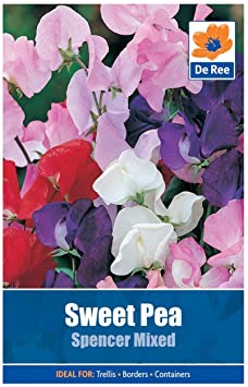Sweet Pea Spencer Mixed Seeds