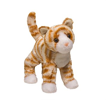 Orange Striped Cat