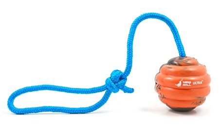 The Nero Ball ULTRA Dog Training Ball on Rope