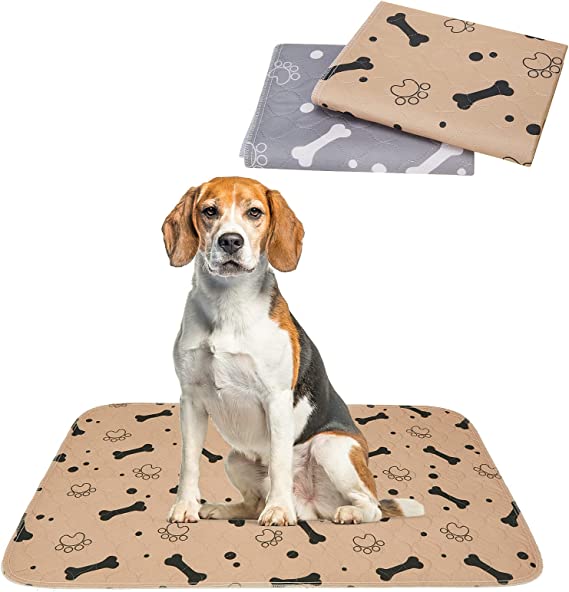 EXPAWLORER Large Puppy Training Pads - 2 Pack Washable Dog Pee Pads Waterproof Reusable Dog Training Pads with Printed Patterns of Bones and Paws