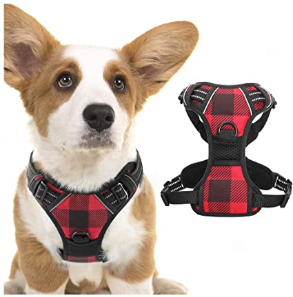 rabbitgoo Dog Harness No Pull, Adjustable Dog Walking Chest Harness with 2 Leash Clips, Comfort Padded Dog Vest Harness with Handle, Reflective Front Body Harness for Large Medium Small Dogs, Plaid